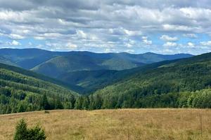 участок по адресу с. Микуличин, Трисянка