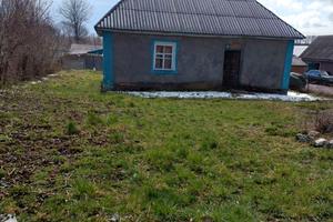 дом по адресу Дружби, 2