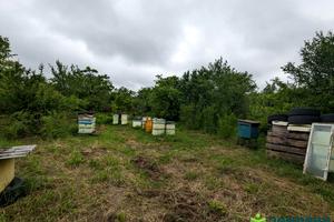ділянка за адресою ст житловик