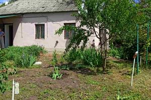 дом по адресу Мира, 2