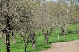будинок за адресою с. Лагодинці, Лісова, 1