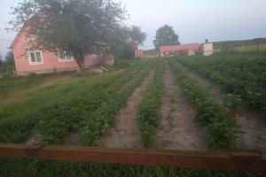будинок за адресою Франка, 1