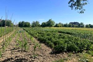 будинок за адресою Шевченка