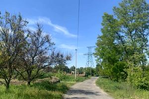 ділянка за адресою Берегова