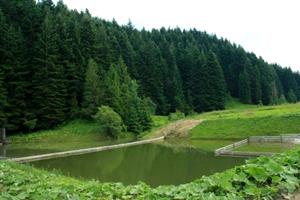 ділянка за адресою Івана Франка вул.