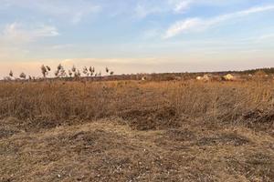 участок по адресу Городищенська