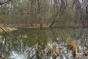 комерційна за адресою 40 річчя, 8