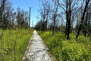 участок по адресу Буча, Депутатская ул.