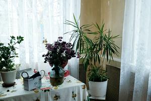 дом по адресу с. Александровка, Вчительська