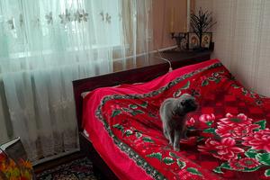 будинок за адресою Антона Вусика