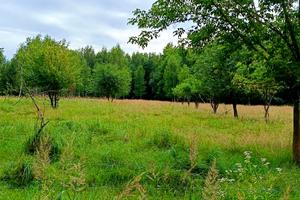 дом по адресу Партизанська, 35