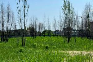 участок по адресу с. Лесники, 