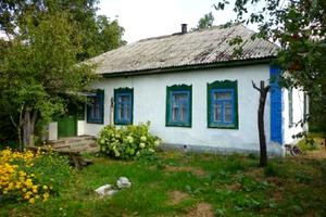 дом по адресу Центральна, 33