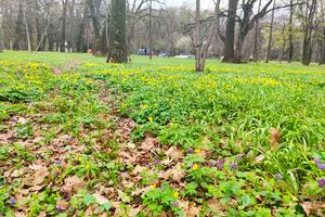 ділянка за адресою Гніванське шосе
