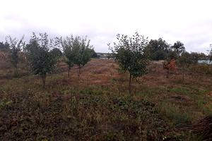 будинок за адресою Кільцева