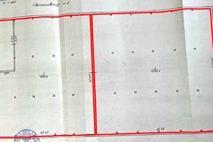 комерційна за адресою Олега Онікієнка вул., 195
