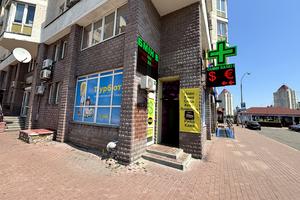комерційна за адресою Левка Лук'яненка вул. (Маршала Тимошенка), 29