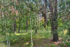 участок по адресу Гостомельське шоссе