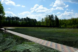 комерційна за адресою Лісова, 1