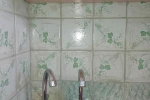 квартира по адресу Цвіткова, 2