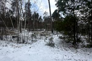 участок по адресу Ирпень, 11 лінія