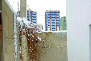 дом по адресу Науки просп. (Ленина), 65