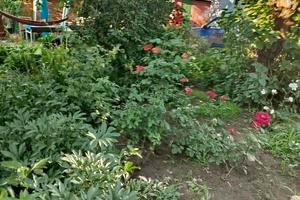 будинок за адресою Тарасівський пров., 33