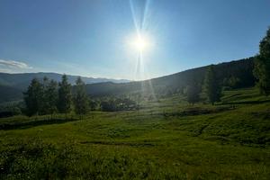 ділянка за адресою Хижки