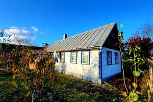 будинок за адресою Шевченка