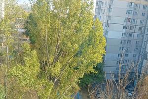 квартира за адресою Владислава Зубенка вул. (Тимурівців), 27