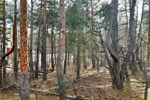 участок по адресу Кільцева