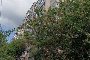 квартира за адресою Гацева вул., 1
