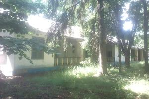 комерційна за адресою Шевченка вул., 43а