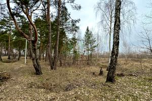 ділянка за адресою Левка Симиренка вул., 41