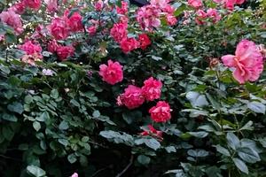 будинок за адресою Євпаторійська вул., 99