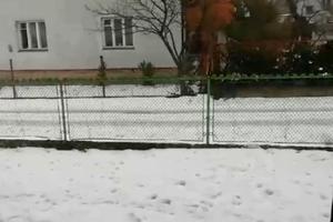квартира по адресу Степана Бандеры ул., 38