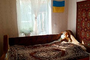 будинок за адресою Вдовенка пров., 15