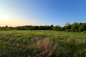 участок по адресу с. Дружня, Вербовая ул.