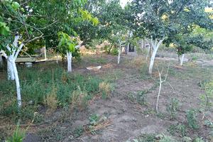 дом по адресу 20-я лінія