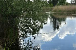 будинок за адресою Шосейна вул., 23