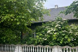 будинок за адресою Вітовського, 16