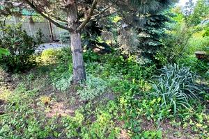 будинок за адресою Гаванська вул.
