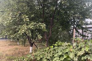 будинок за адресою с. Дубіївка, Польова, 5 а