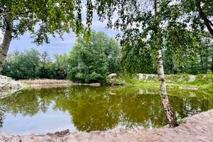 дом по адресу Киев, Залужний пер., 10