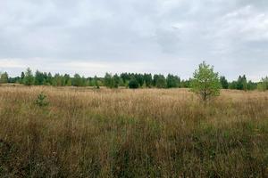 ділянка за адресою Чапаева