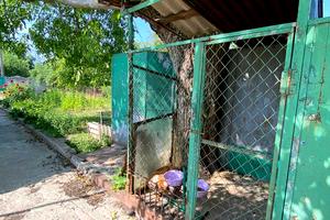 дом по адресу Генерала Воливача ул. (Генерала Волівача)