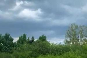 участок по адресу с. Веремье, Луки Дубового