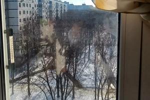 квартира за адресою Академіка Павлова вул., 146