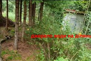 ділянка за адресою довгий грунь