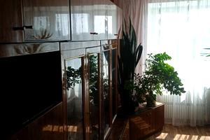 квартира за адресою Чкалова вул., 13